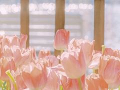 -蒙自源米线大王(信利城市广场店)