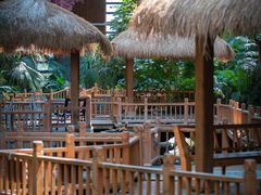 -南宫五洲植物乐园