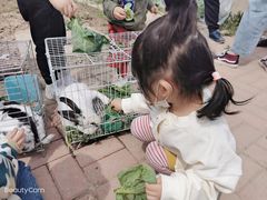 -甜心庄园·甜心草莓采摘园(西青中北店)