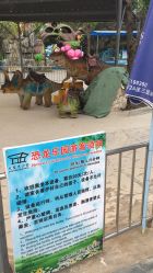 -大望京儿童游乐场