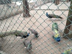 -南京金牛湖风景区