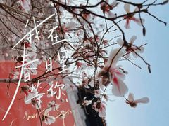 -东华门大街小区