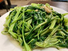 椒丝腐乳通菜-美食店(华贵路店)