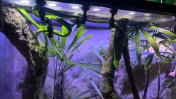 -酷嗒动物文化乐园(cutezoo西溪乐天城店)