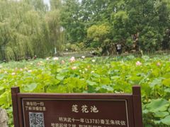 -莲湖公园