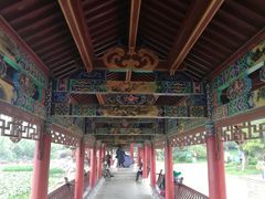 -洛龙公园