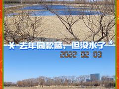 -大兴滨河森林公园