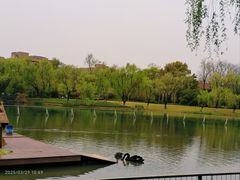 -浙江大学(紫金港校区)