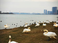 -北龙湖湿地公园