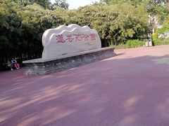 -莲花池公园