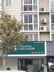 -菩叶脱发白发中心