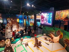 -国家自然博物馆