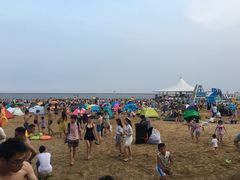 -碧海金沙