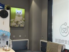 -关爱宠物医院·猫科中心·消化科(滨湖万达分院)