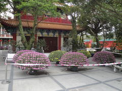 -宝莲禅寺