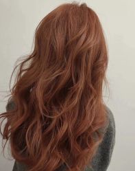-IP SALON
