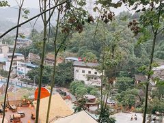 -巴倒烫陆派火锅山庄(南山总店)