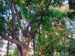 -成都市活水公园