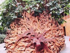 -龙达温泉生态城