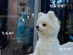 -萌兽医馆·眼科·异宠专科(三里屯店)