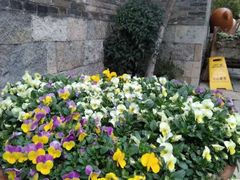 -回龙窝历史文化街区