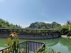 -沐川竹海旅游景区