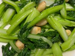白灼菜心-潮三爷砂锅焗海鲜·生腌·海鲜粥(朝晖店)