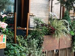 -OGGI TRATTORIA PIZZERIA(深业上城店)