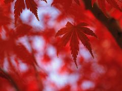 -上海交通大学(闵行校区)