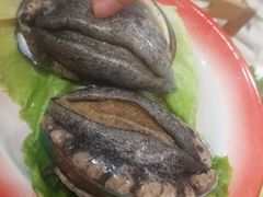 会跳舞的大鲍鱼-小龍鳳·港式海鲜打边炉(沙湖路店)