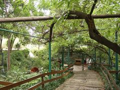 林荫道-成都市活水公园