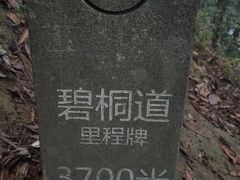 -梧桐山风景名胜区