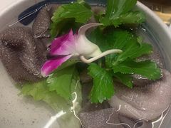 -蜀九香火锅(彩虹店)
