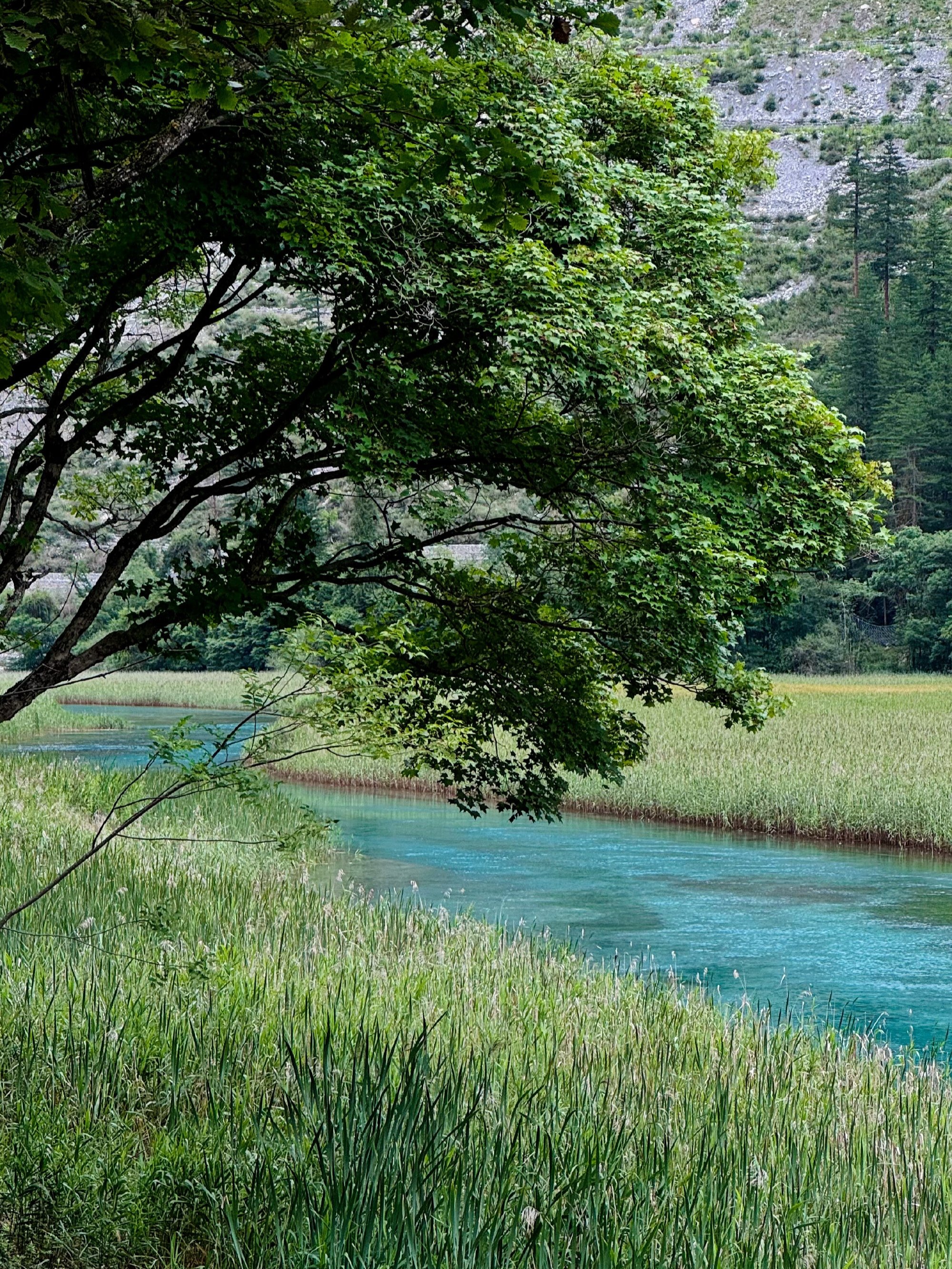 九寨沟景区海拔图片