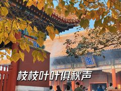 -雍和宫