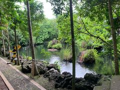 -海口火山口国家地质公园