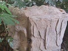 -静安公园(静安寺街道)
