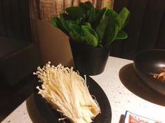 -京韵胡同·酱香羊蝎子火锅涮肉(长寿路店)