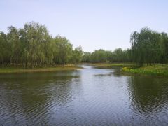 -东郊湿地公园
