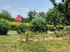 -东莞植物园