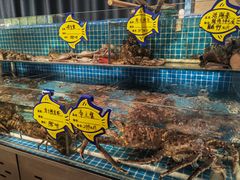 -韩记海鲜饺子旗舰店(红海新区店)