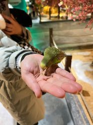 -酷嗒动物文化乐园(cutezoo西溪乐天城店)