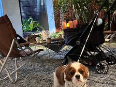 -J Create城市露营咖啡·简餐·宠物(上海动物园店)