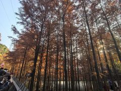 -梅峰山地公园