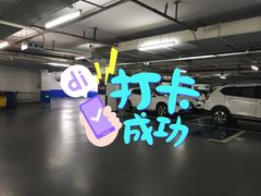 -莘庄龙之梦停车场