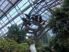 -南山植物园