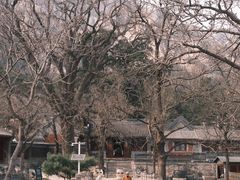 -北京凤凰岭