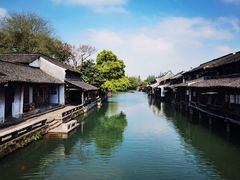 -乌镇西栅景区