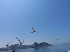 -海驴岛(荣成市)
