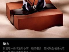-BLACKSWAN黑天鹅(环球店)